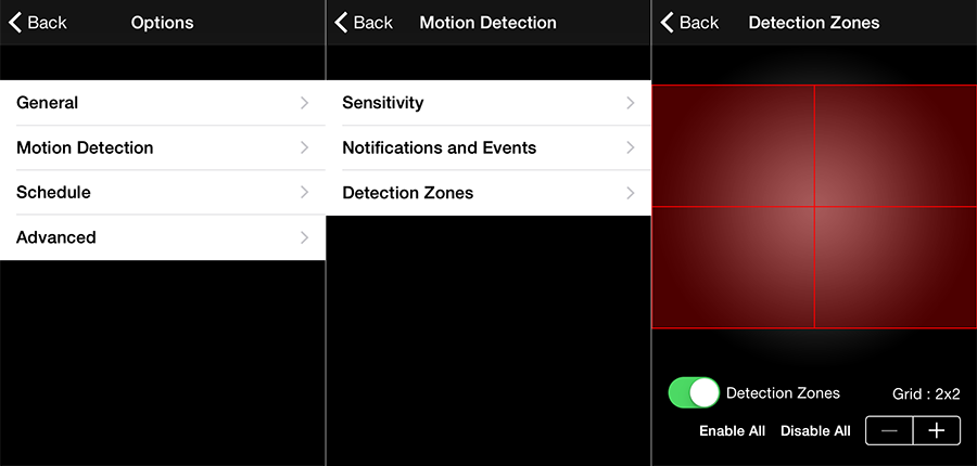 Motion Detection Zones screen