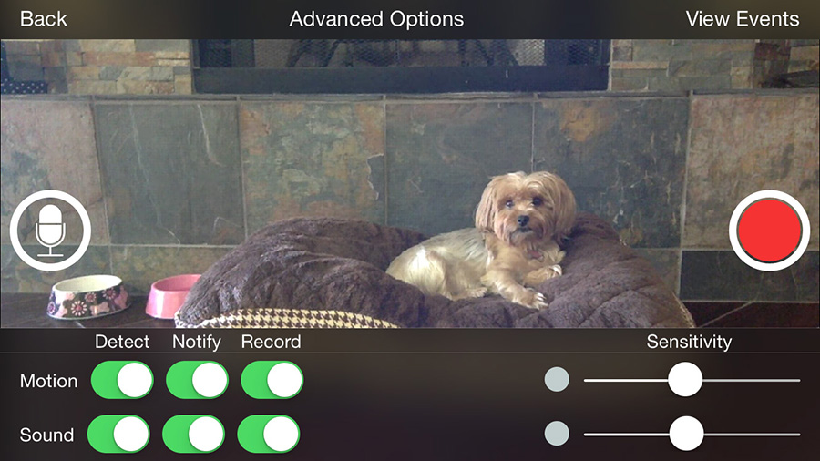 iCam Motion Detection Settings