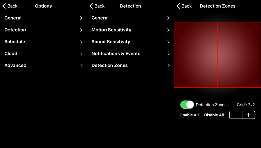 Motion Detection Zones screen