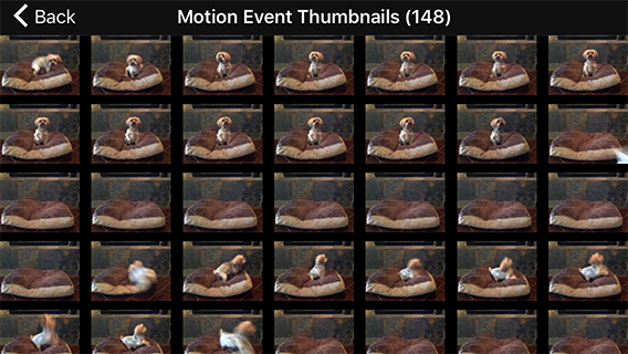 iCam Cloud Event Image Thumbnails