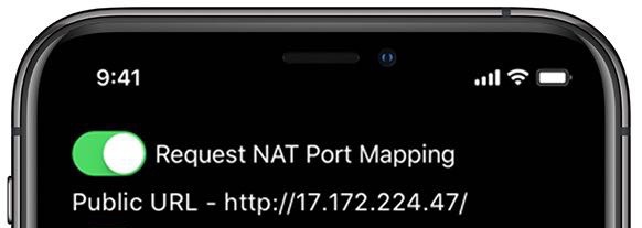 Request NAT Port Mapping Switch